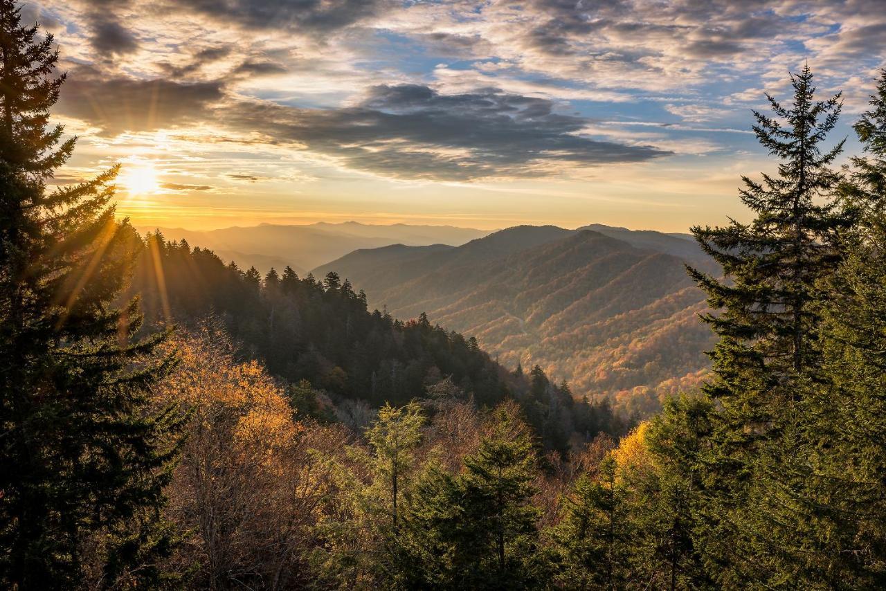 Nature'S Paradise سيفيرفيل المظهر الخارجي الصورة