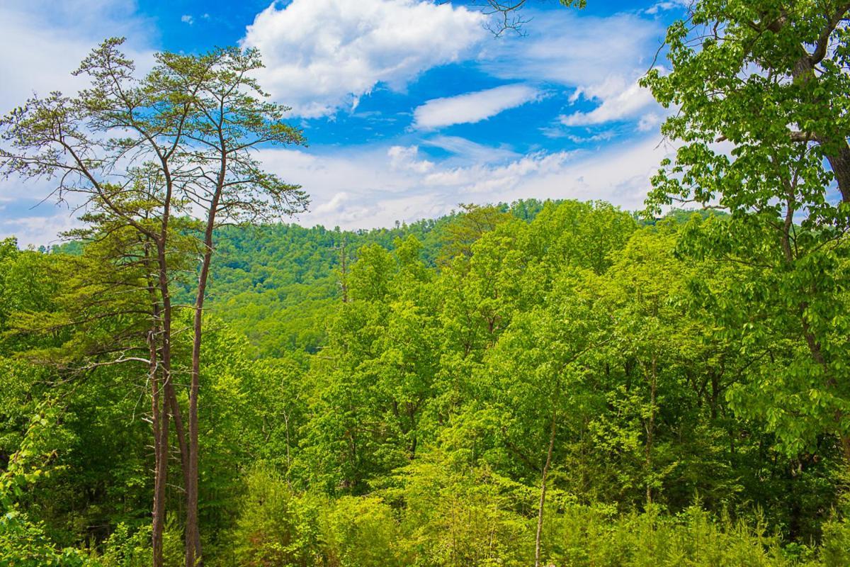 Nature'S Paradise سيفيرفيل المظهر الخارجي الصورة